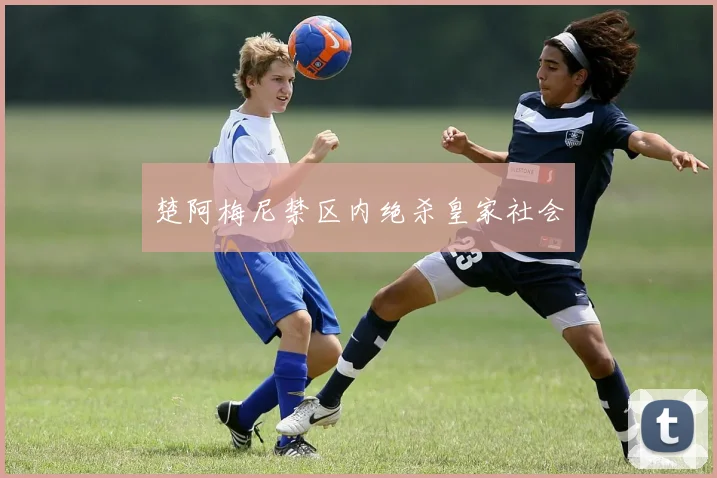 楚阿梅尼禁区内绝杀皇家社会
